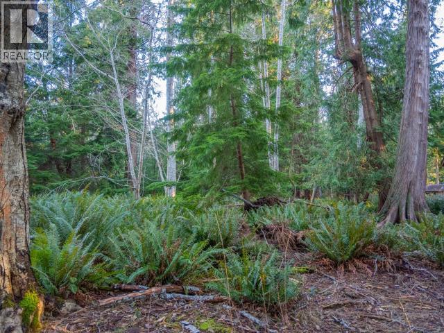 1136 HERCHMER ROAD, Savary Island