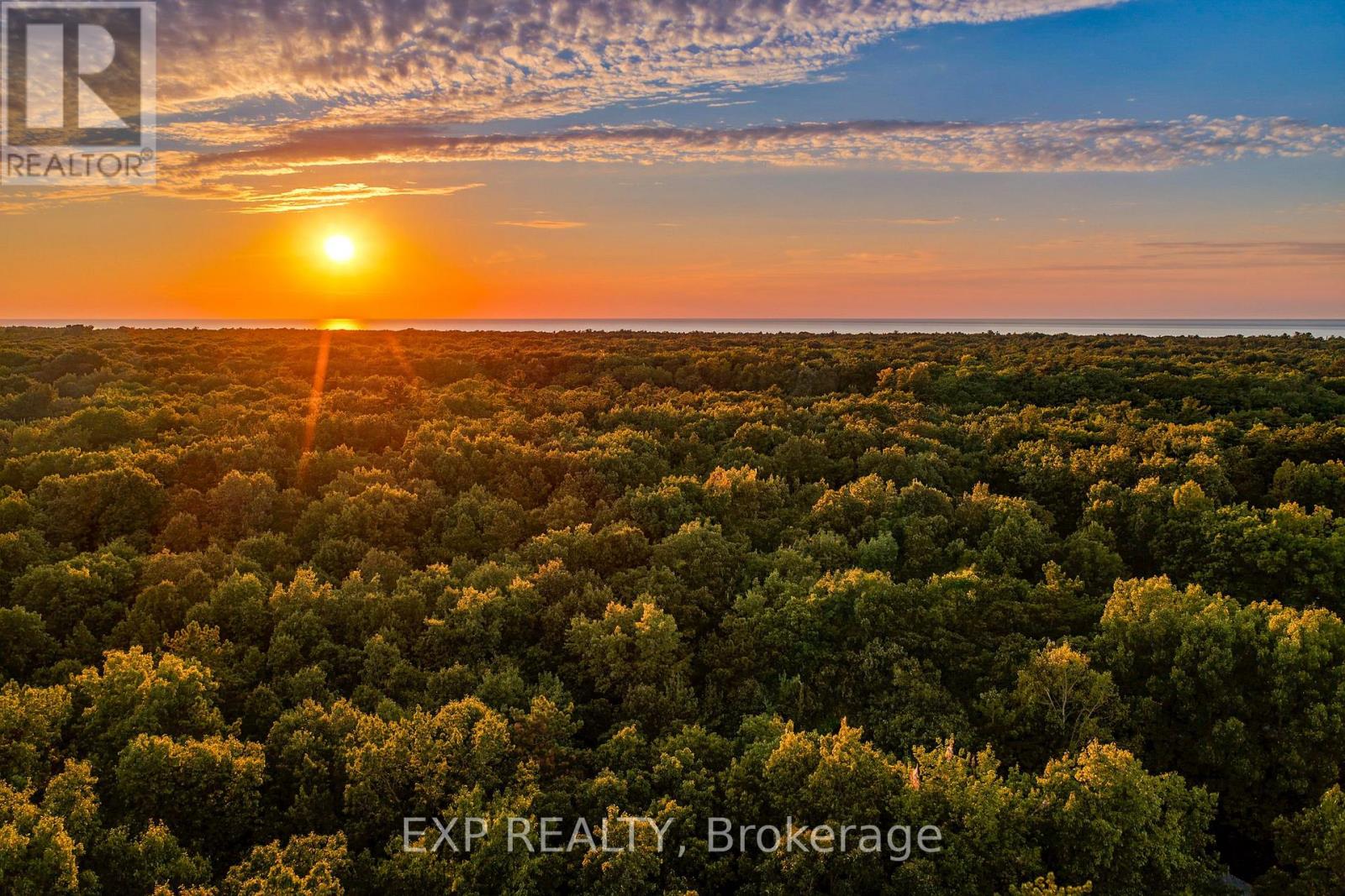 10207 PINETREE DRIVE - 47