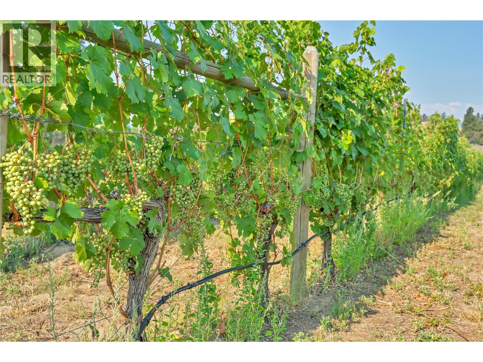 1275 Munson Avenue, Penticton