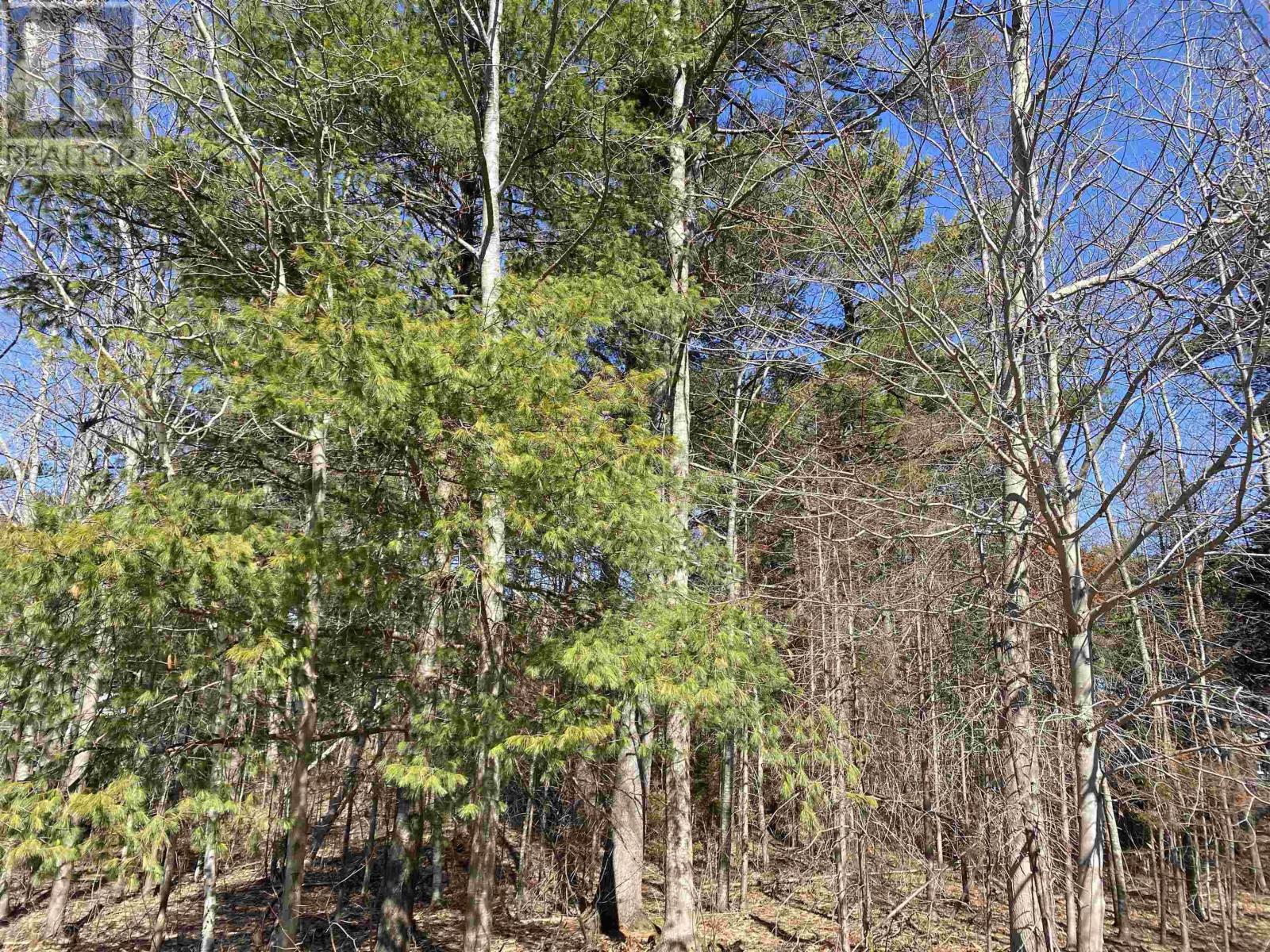 Property 2 of 3 of 20 Mountain View Road