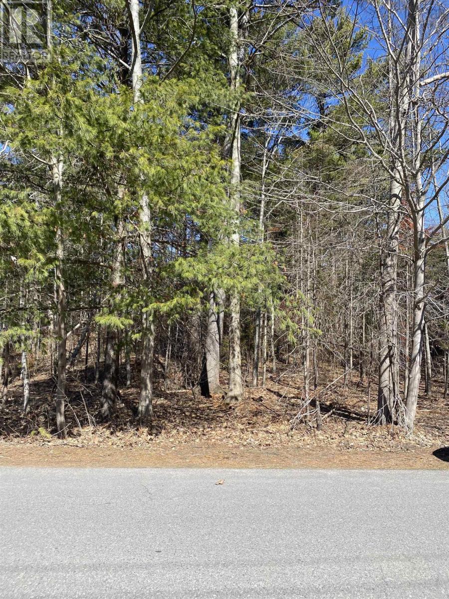 Property photo of 20 Mountain View Road