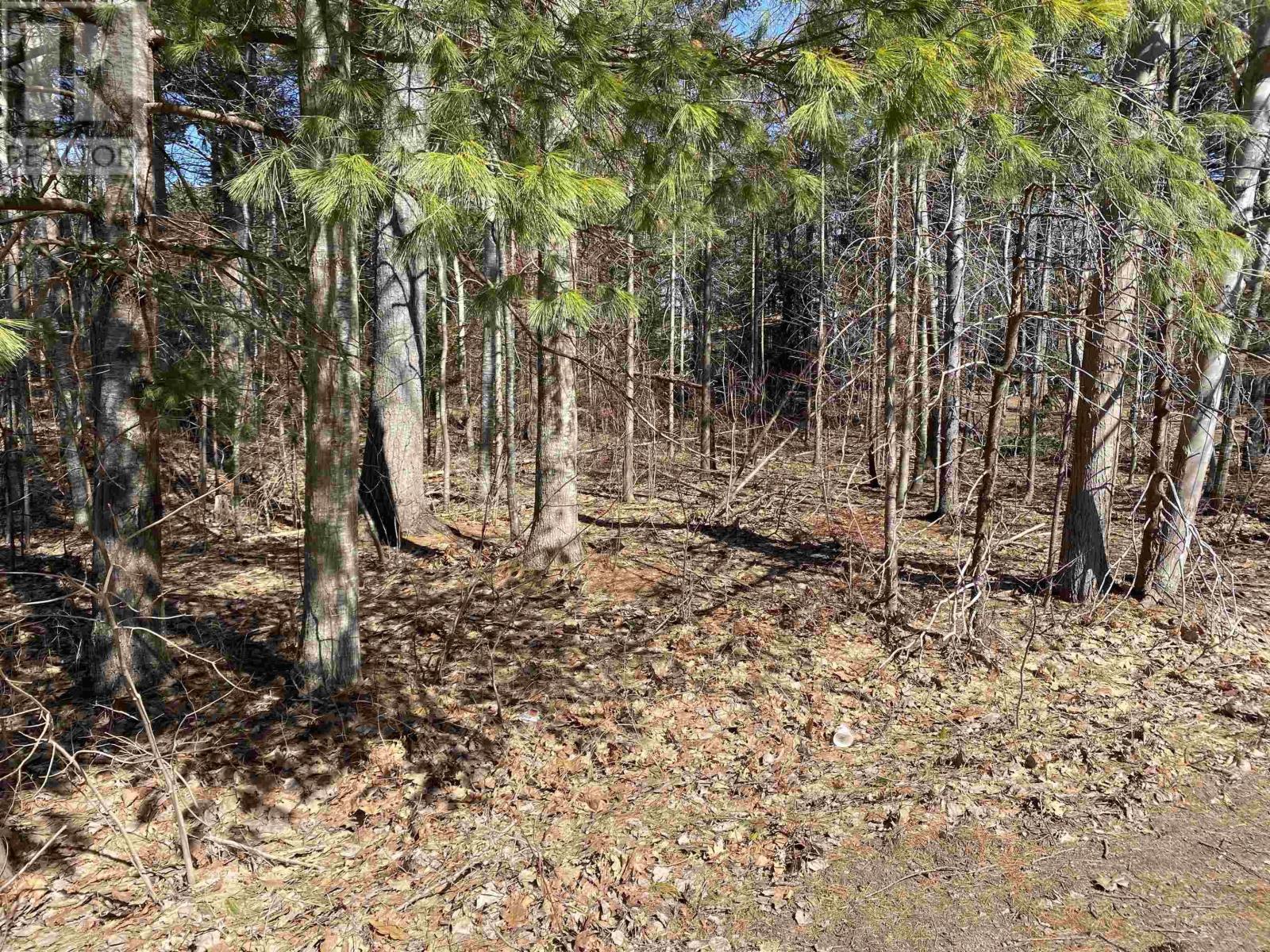 Property 3 of 3 of 20 Mountain View Road