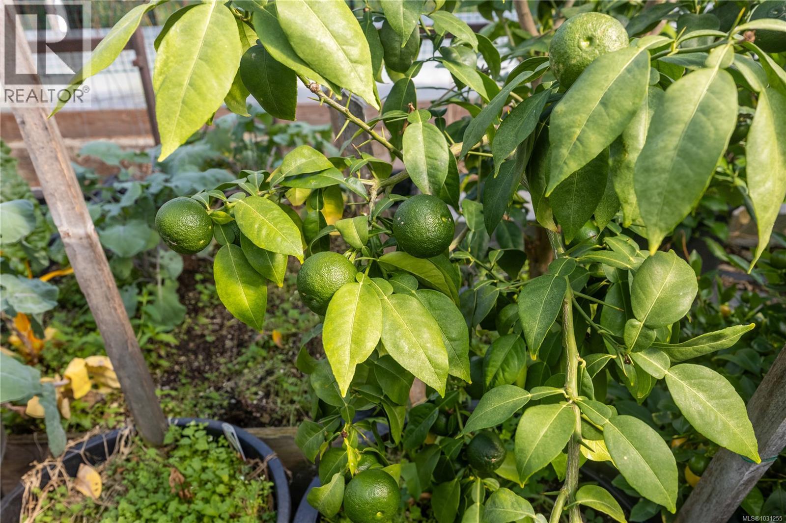 845 Downey Rd, North Saanich