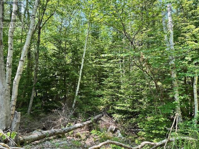 Property 3 of 5 of 5 St Joseph Street