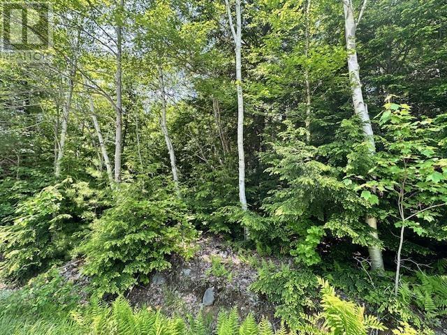 Property 4 of 5 of 5 St Joseph Street