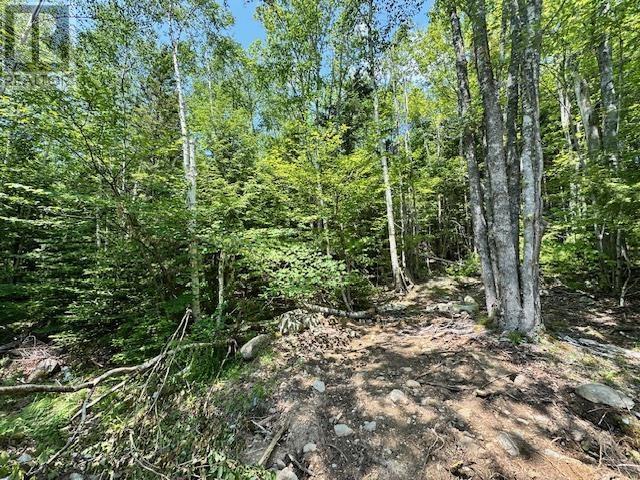 Property photo of 5 St Joseph Street