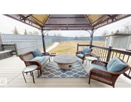 3885 Gallinger Lo Nw, Edmonton, AB T5T4G6 Photo 29