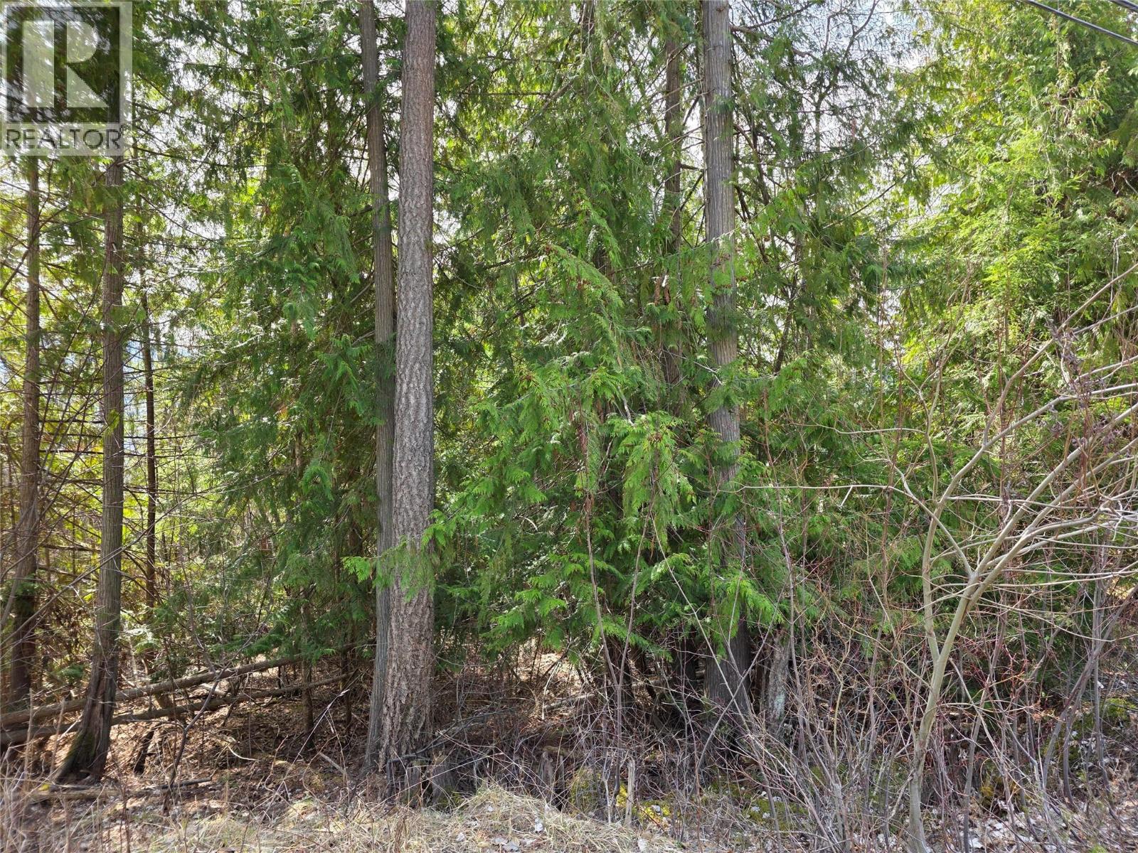 7502 ESTATE DRIVE - 4