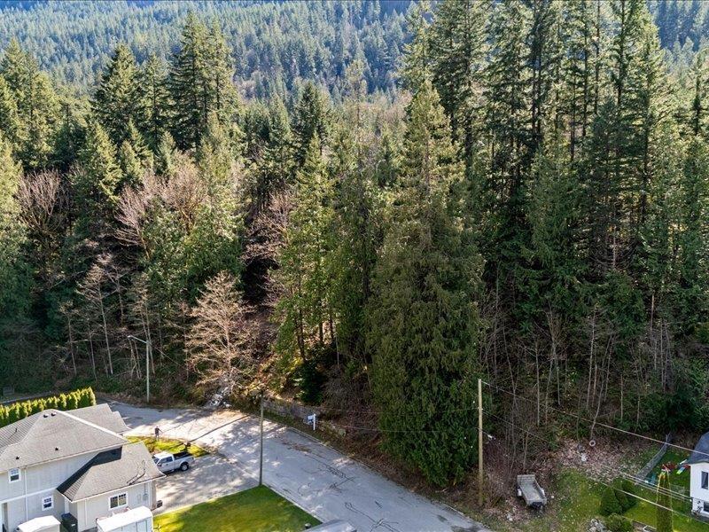 320 FORREST CRESCENT, Hope, Hope