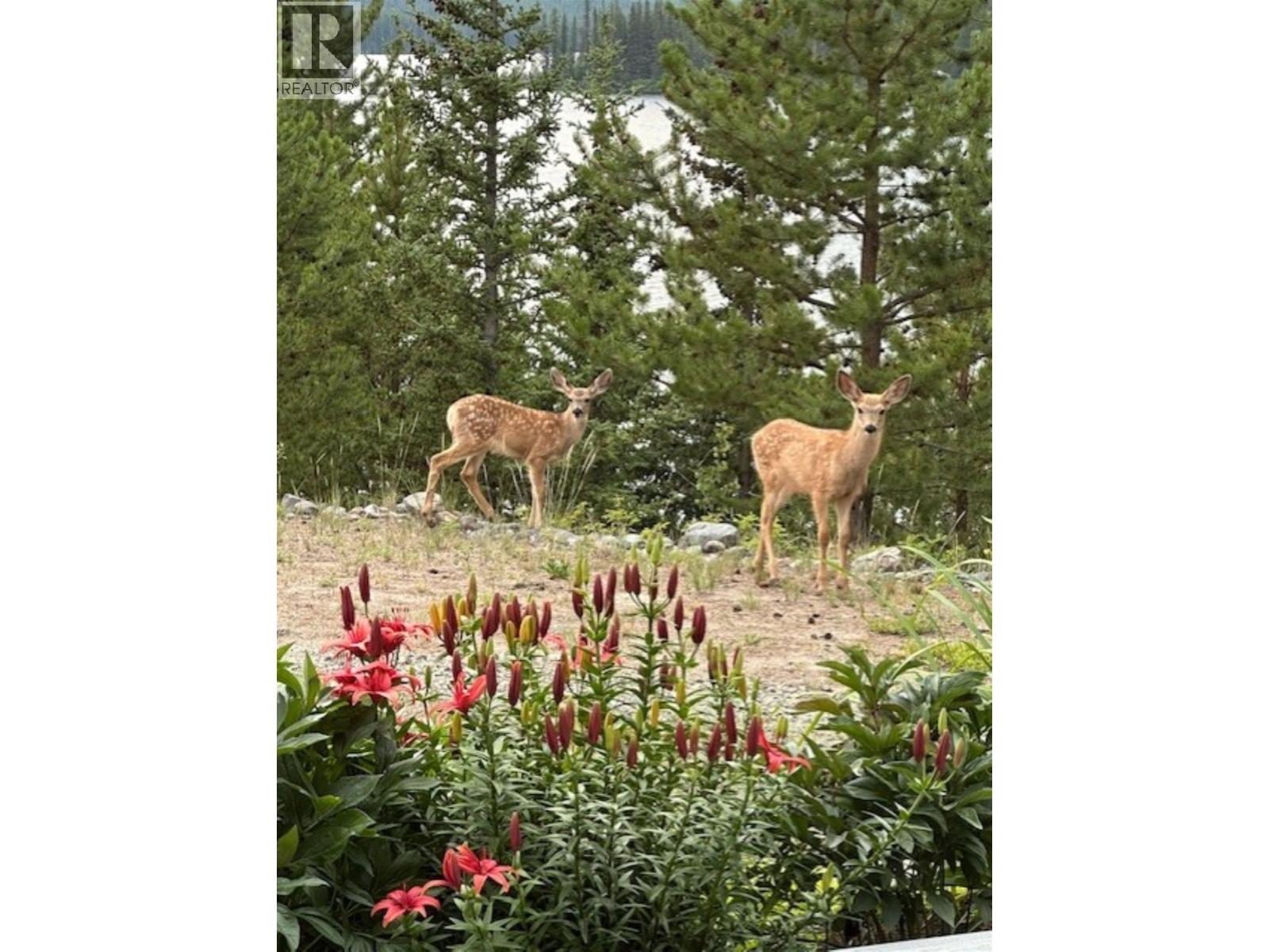 1909 OTTER ROAD - 27