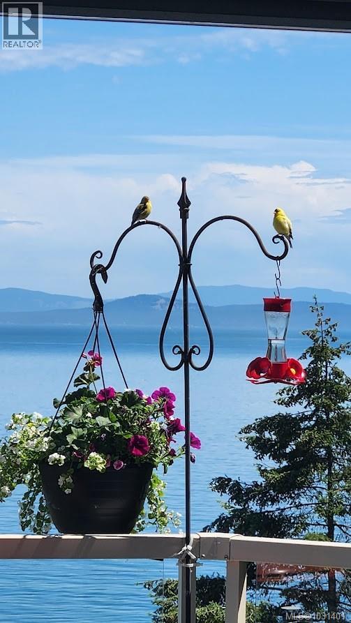 #7 4771 CORDOVA BAY RD - 63