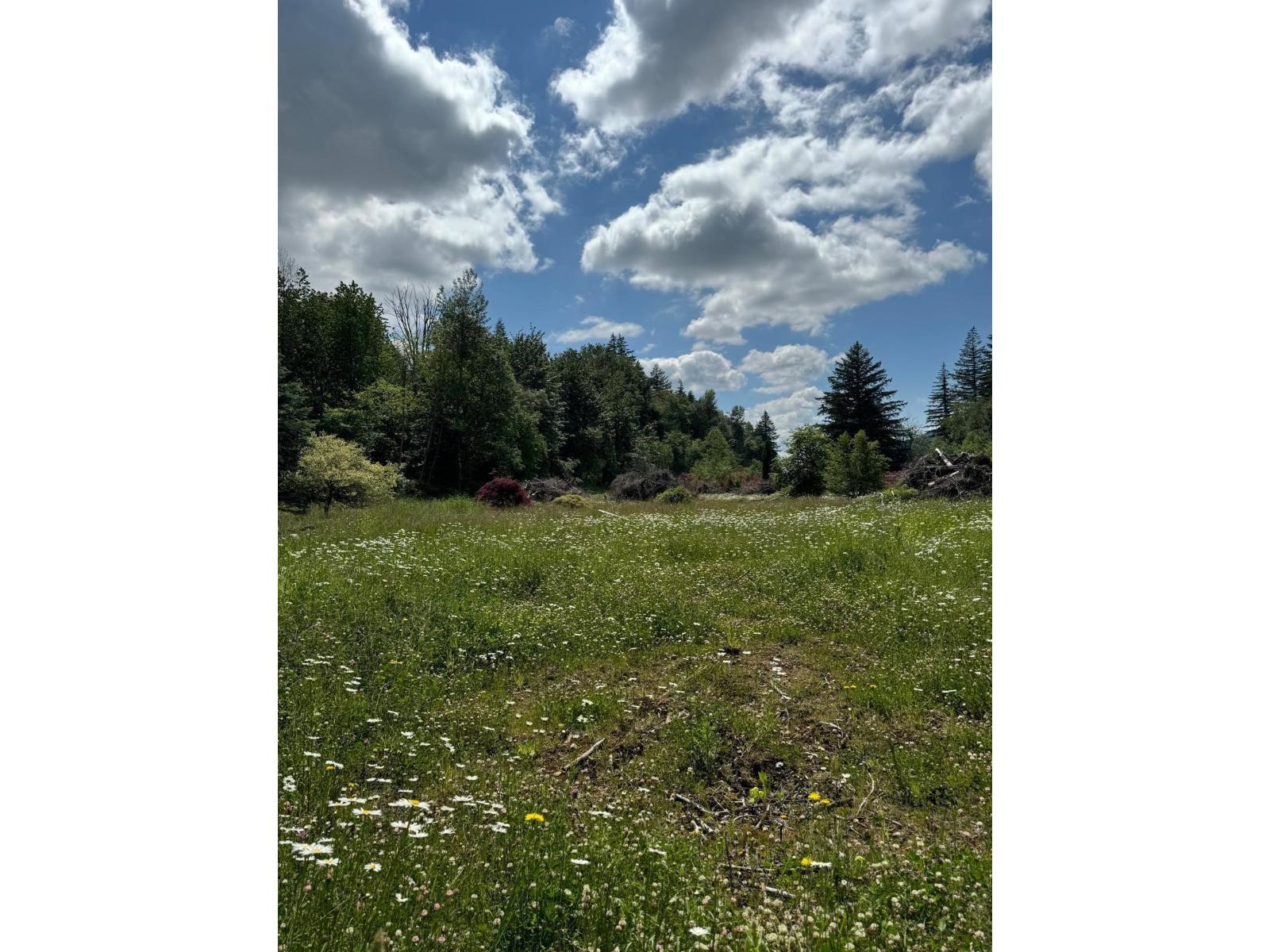 Photo of 1153 KOSIKAR ROAD, Columbia Valley 19