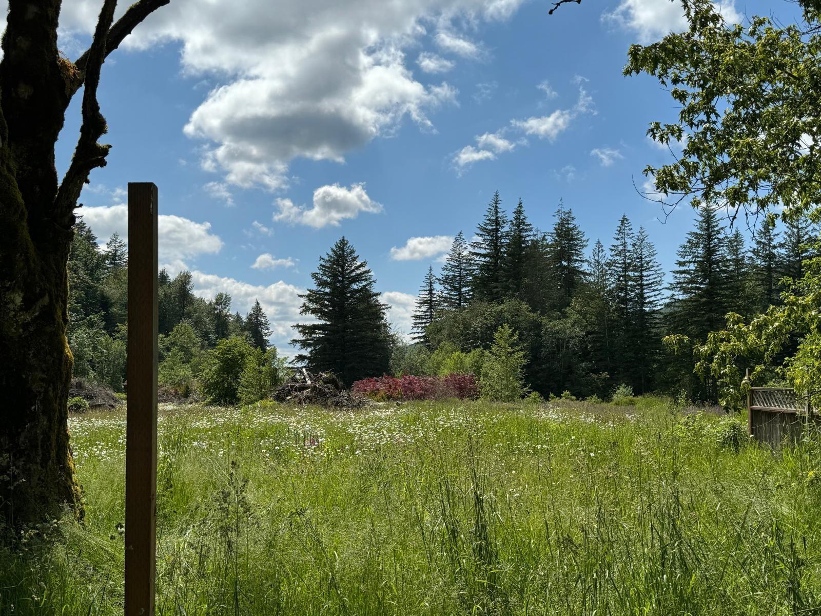 Photo of 1153 KOSIKAR ROAD, Columbia Valley 20