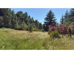 1153 Kosikar Road, Columbia Valley, Columbia Valley, BC V2R4X7 Photo 15