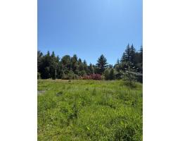 1153 Kosikar Road, Columbia Valley, Columbia Valley, BC V2R4X7 Photo 14