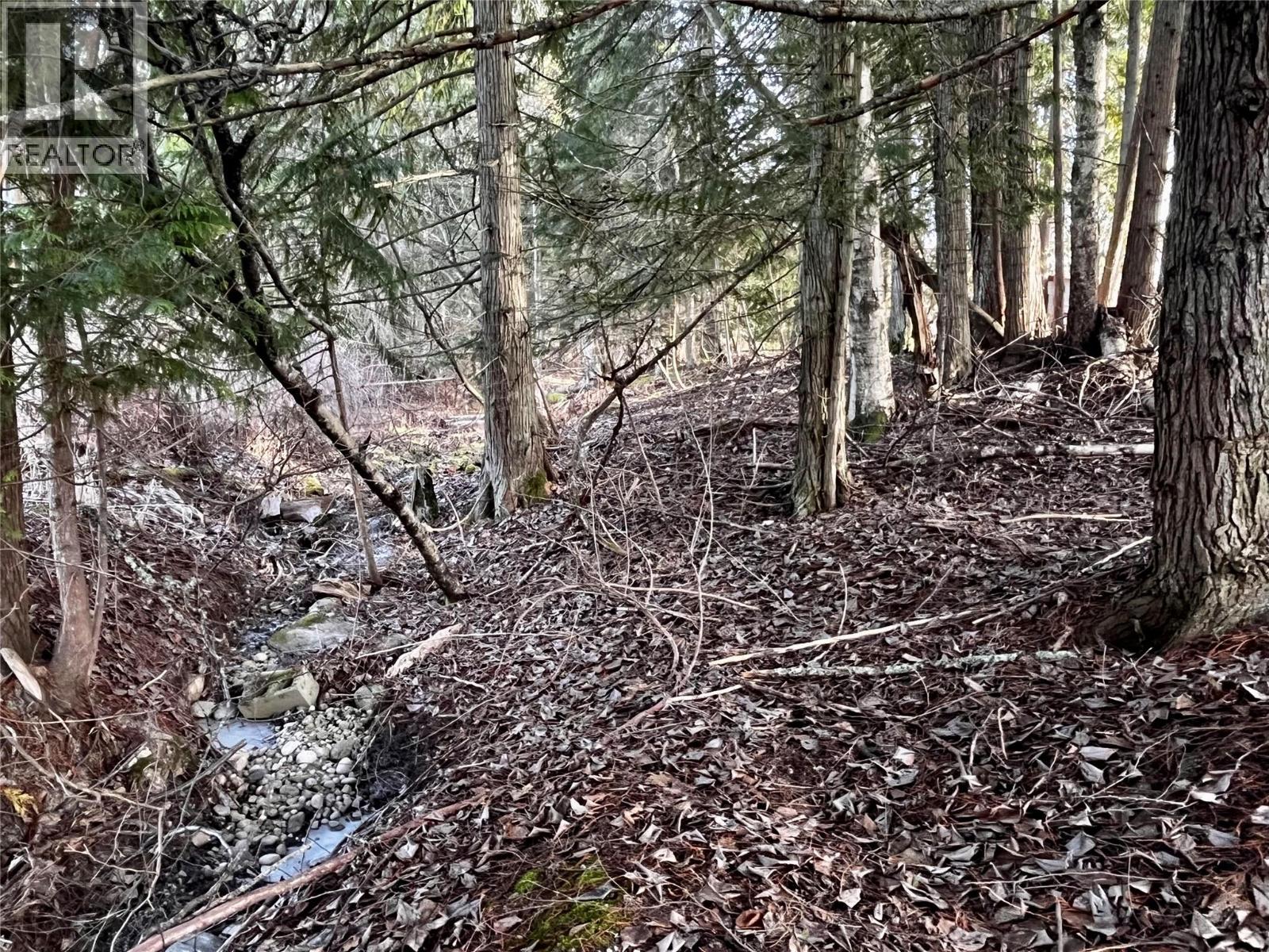 262 GLENACRES ROAD - 5