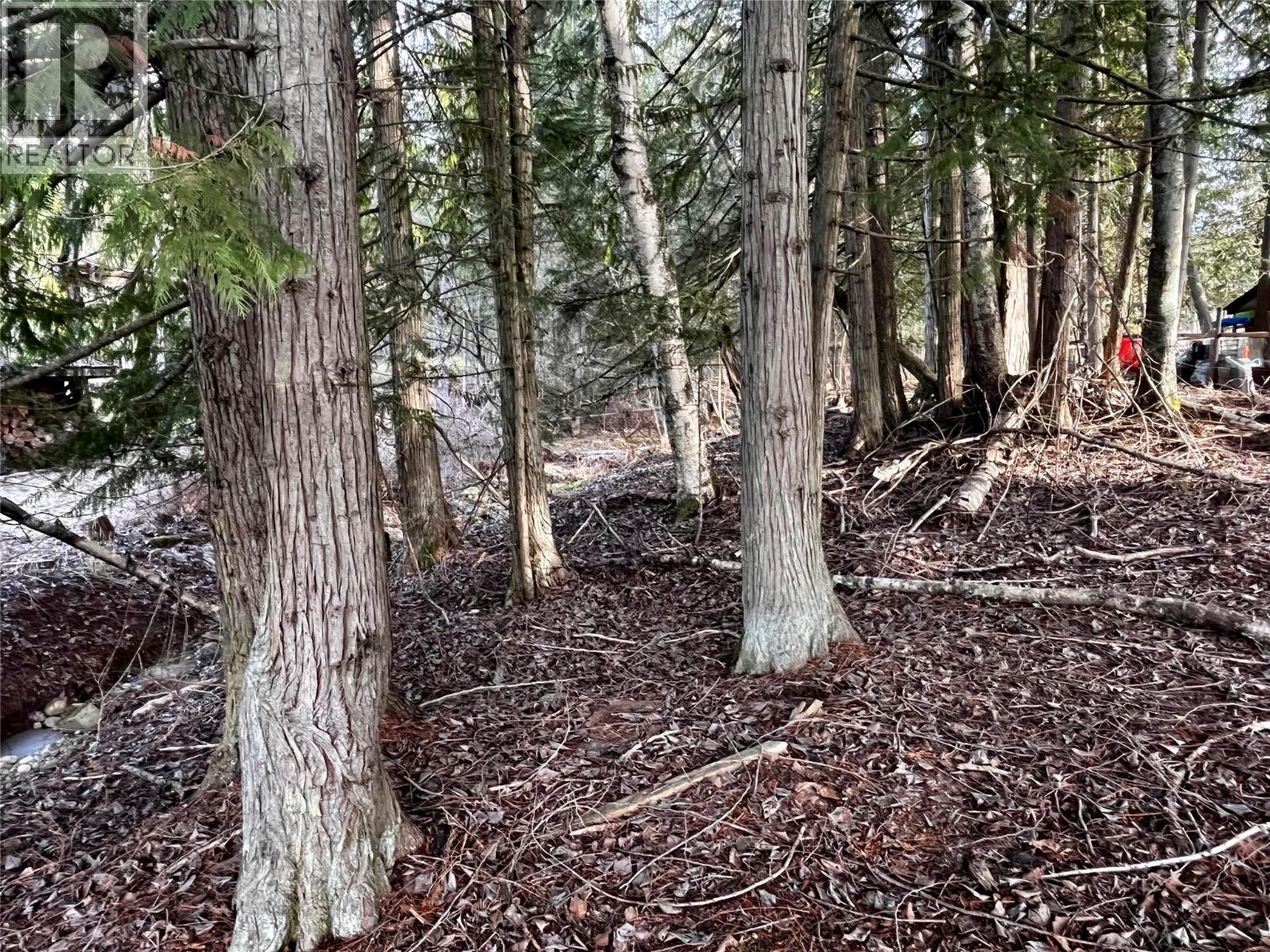 262 GLENACRES ROAD - 4