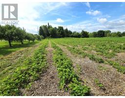 11449 Highway 62 Highway, Centre Hastings, ON K0K2K0 Photo 43