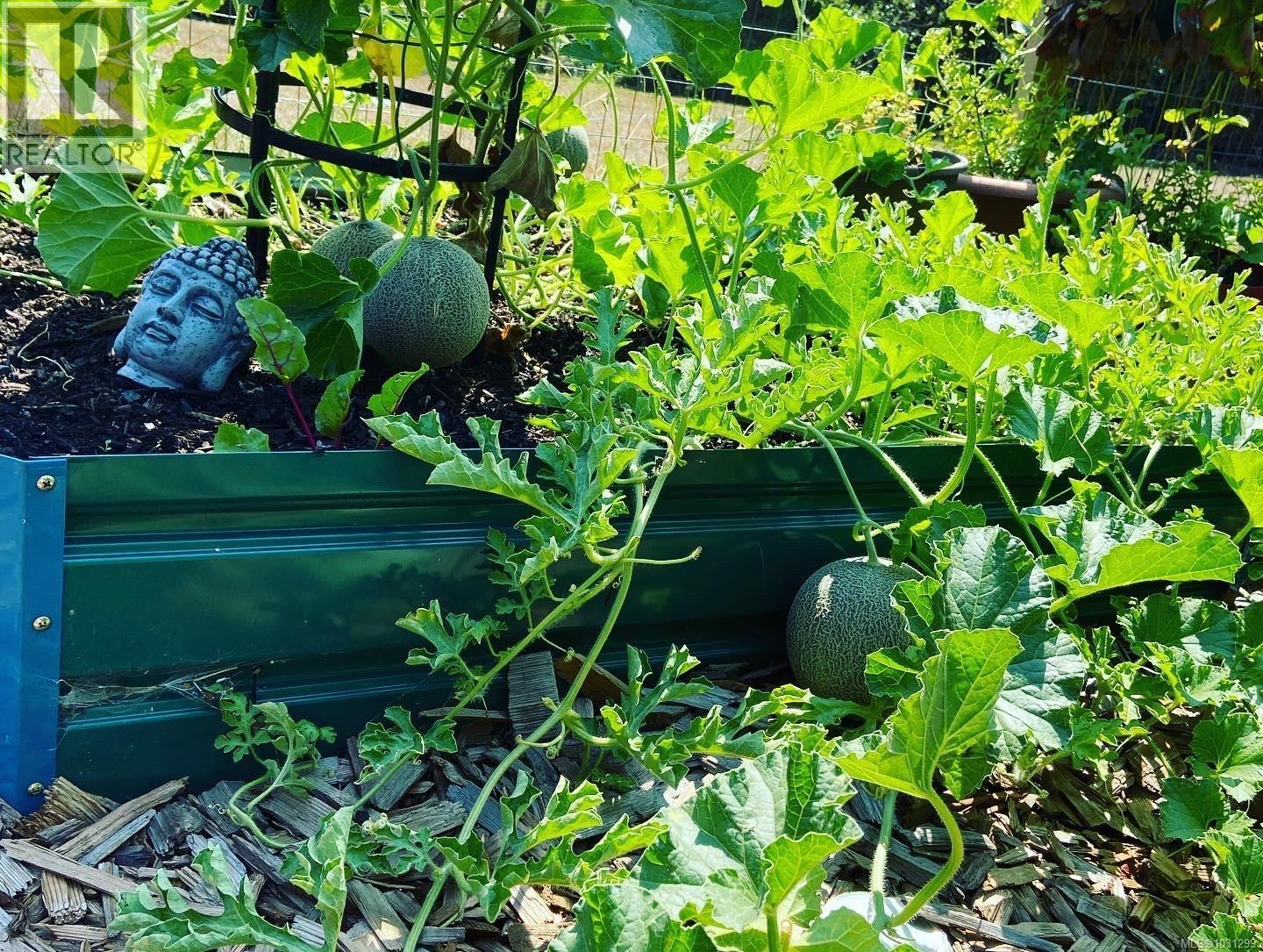 231 Derby Pl, Nanaimo