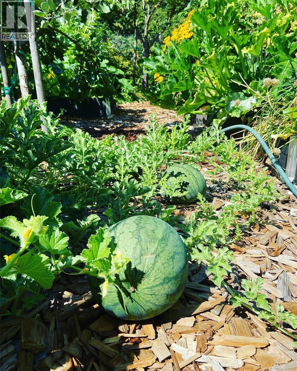 231 Derby Pl, Nanaimo