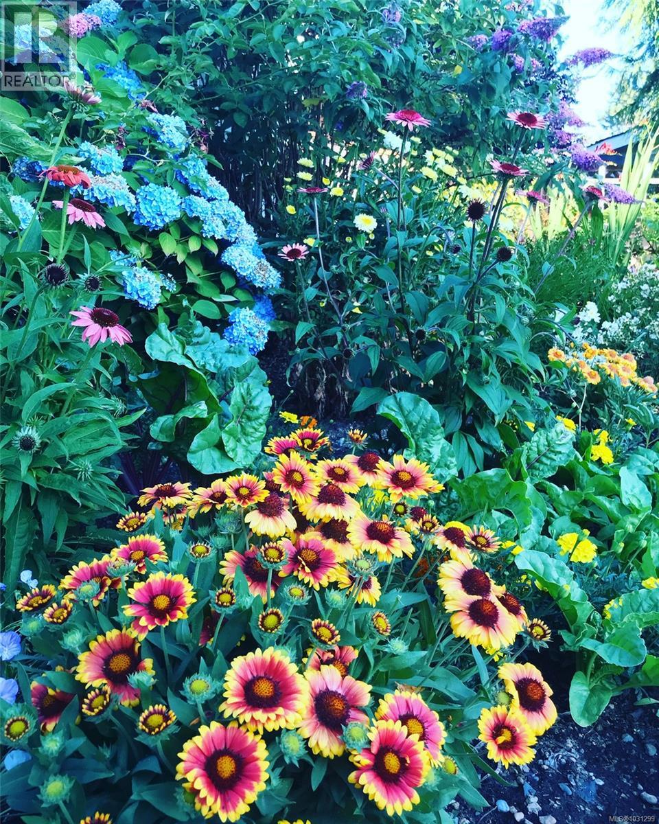 231 Derby Pl, Nanaimo