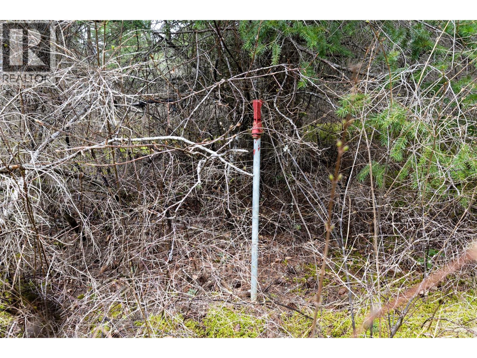 5560 LAKESHORE ROAD NE - 13