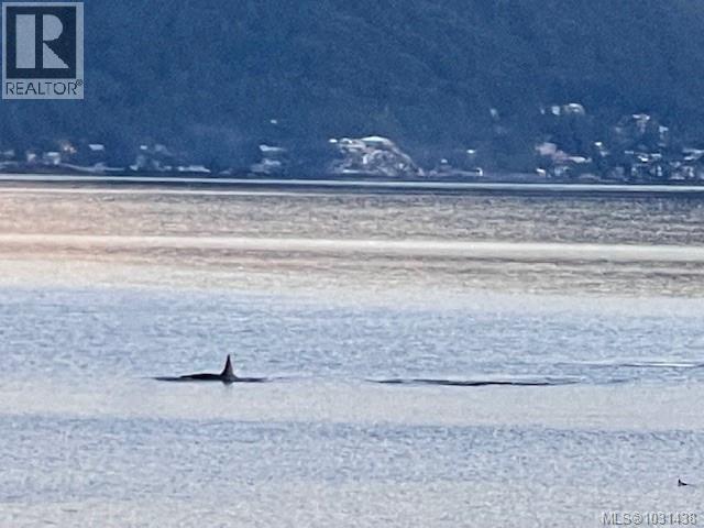 #12 1723 SANDY BEACH RD - 27