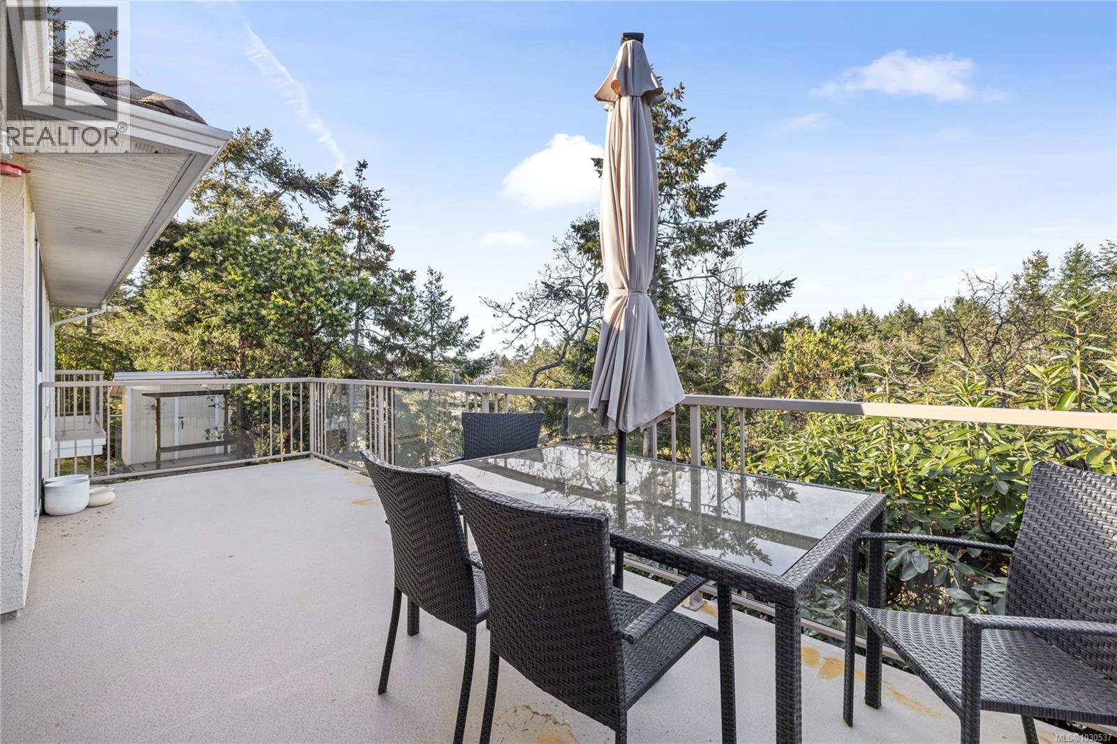 3541 SHELBY LANE - 35