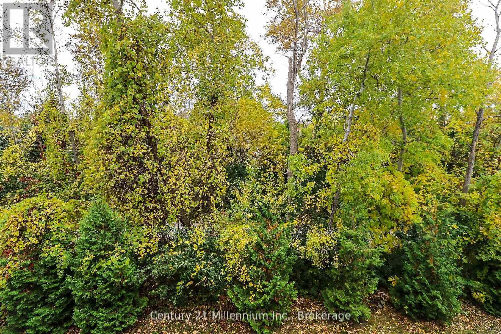 304 - 2 BRANDY LANE DRIVE