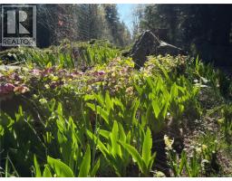 10760 Guilbride Dr, Saltair, BC V0G2B2 Photo 30