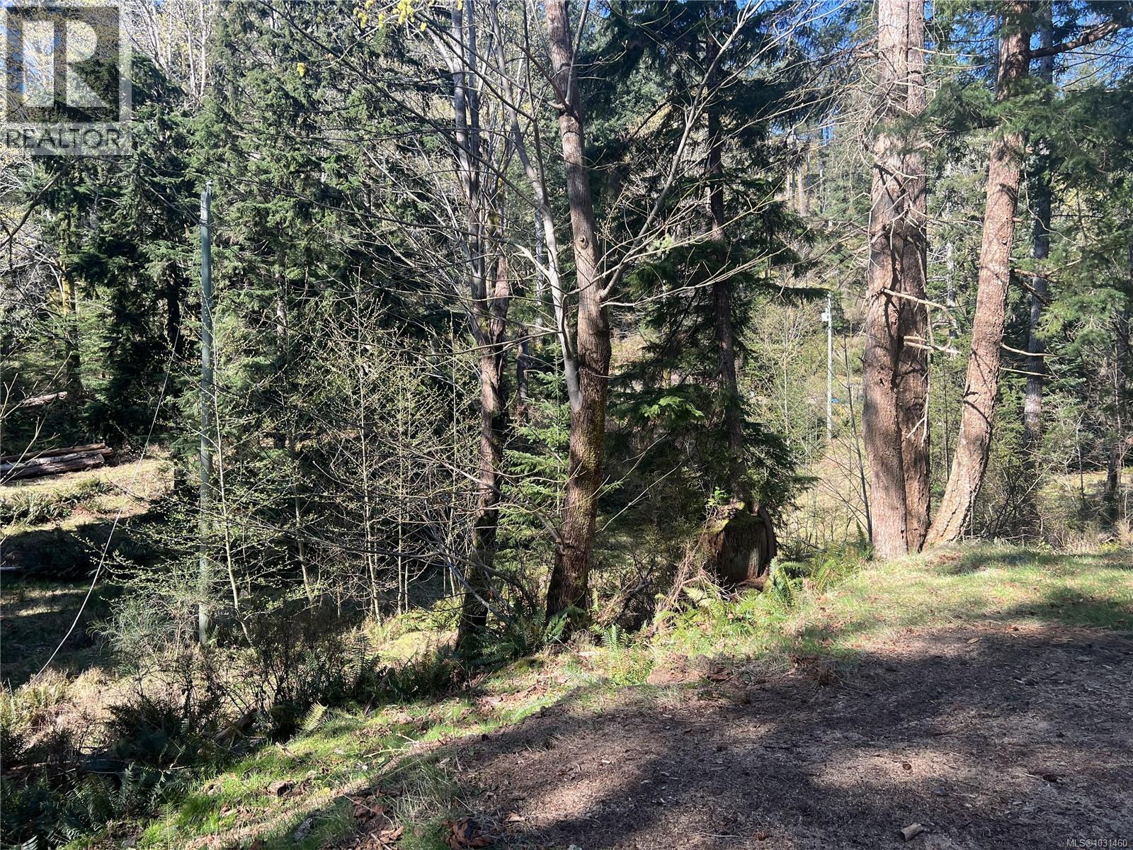 619 Green Rd, Quadra Island