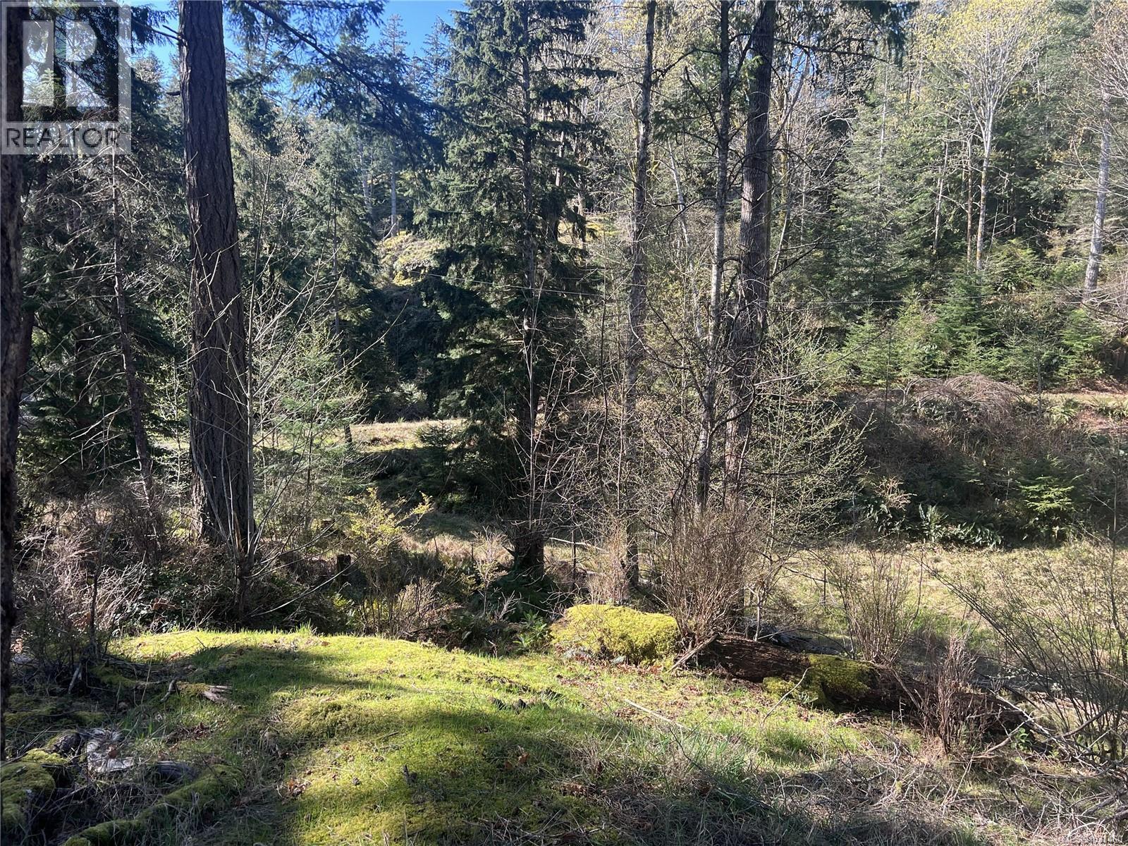 619 Green Rd, Quadra Island