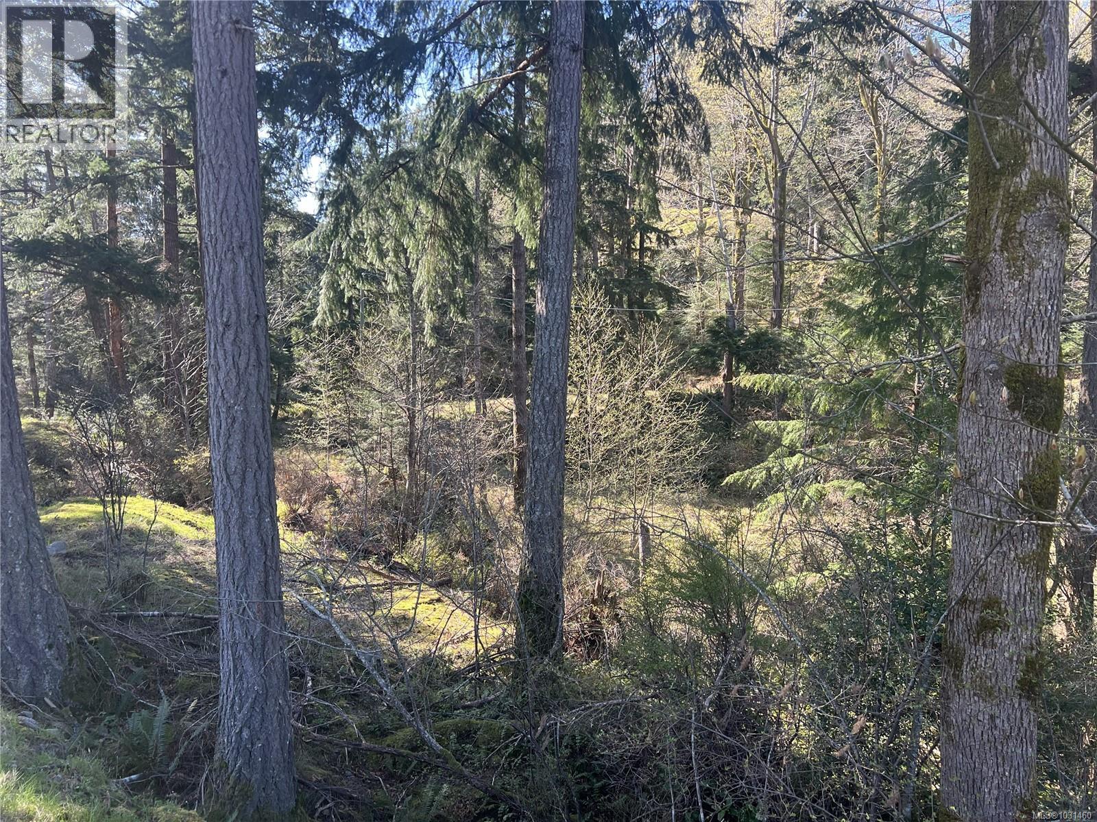 619 Green Rd, Quadra Island