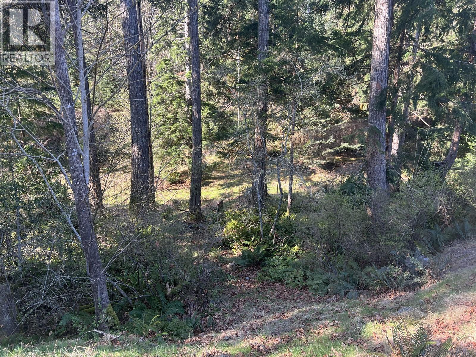 619 Green Rd, Quadra Island