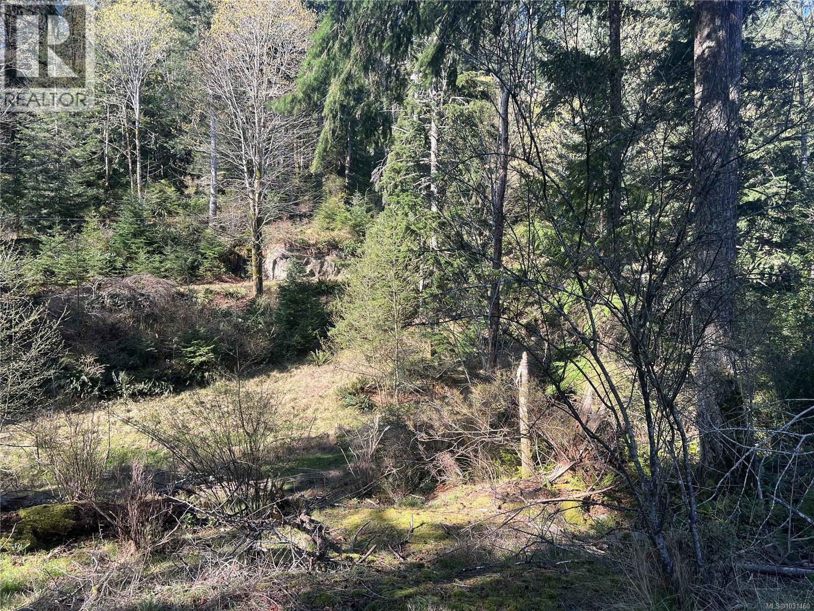 619 Green Rd, Quadra Island