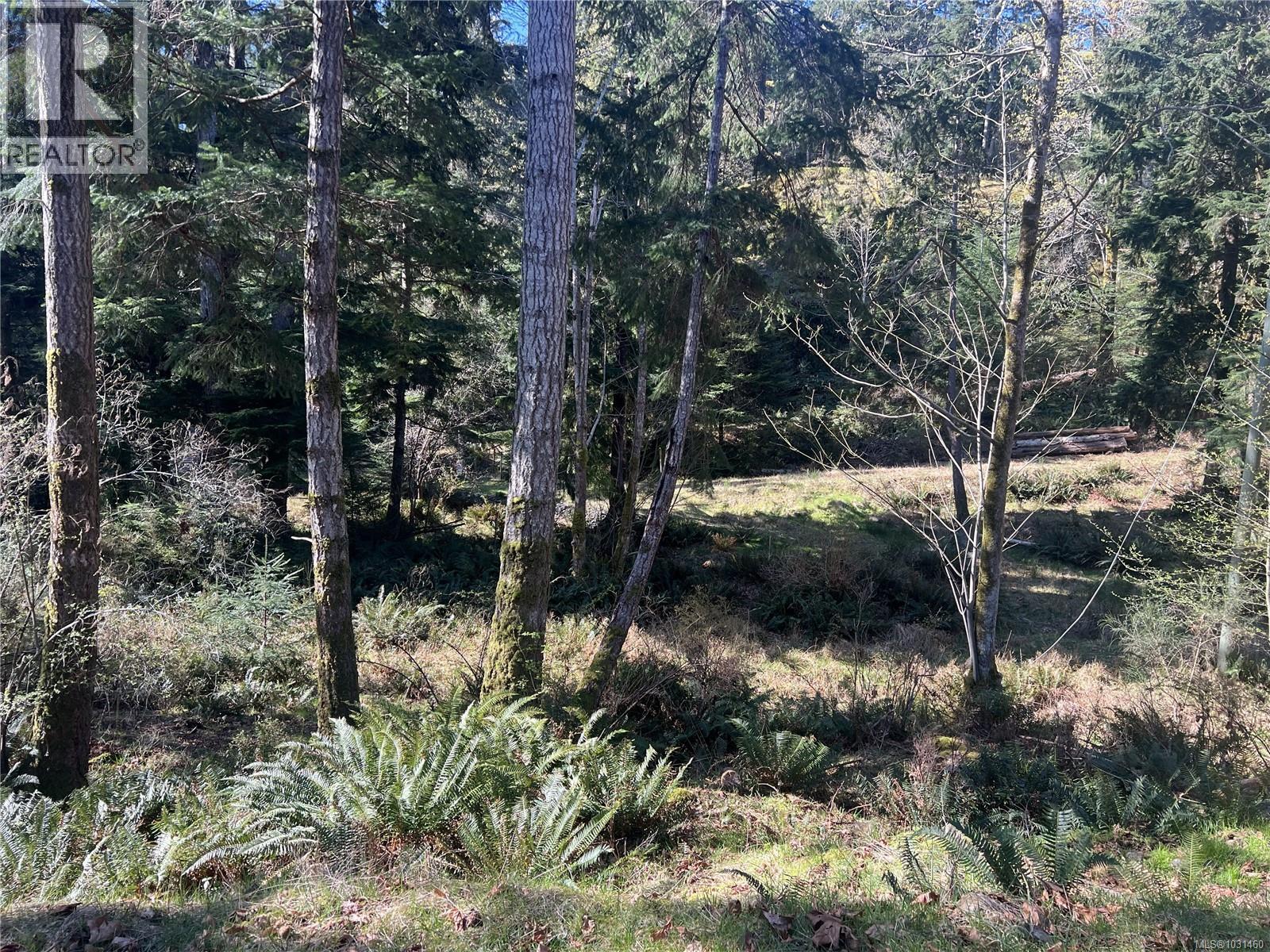 619 Green Rd, Quadra Island