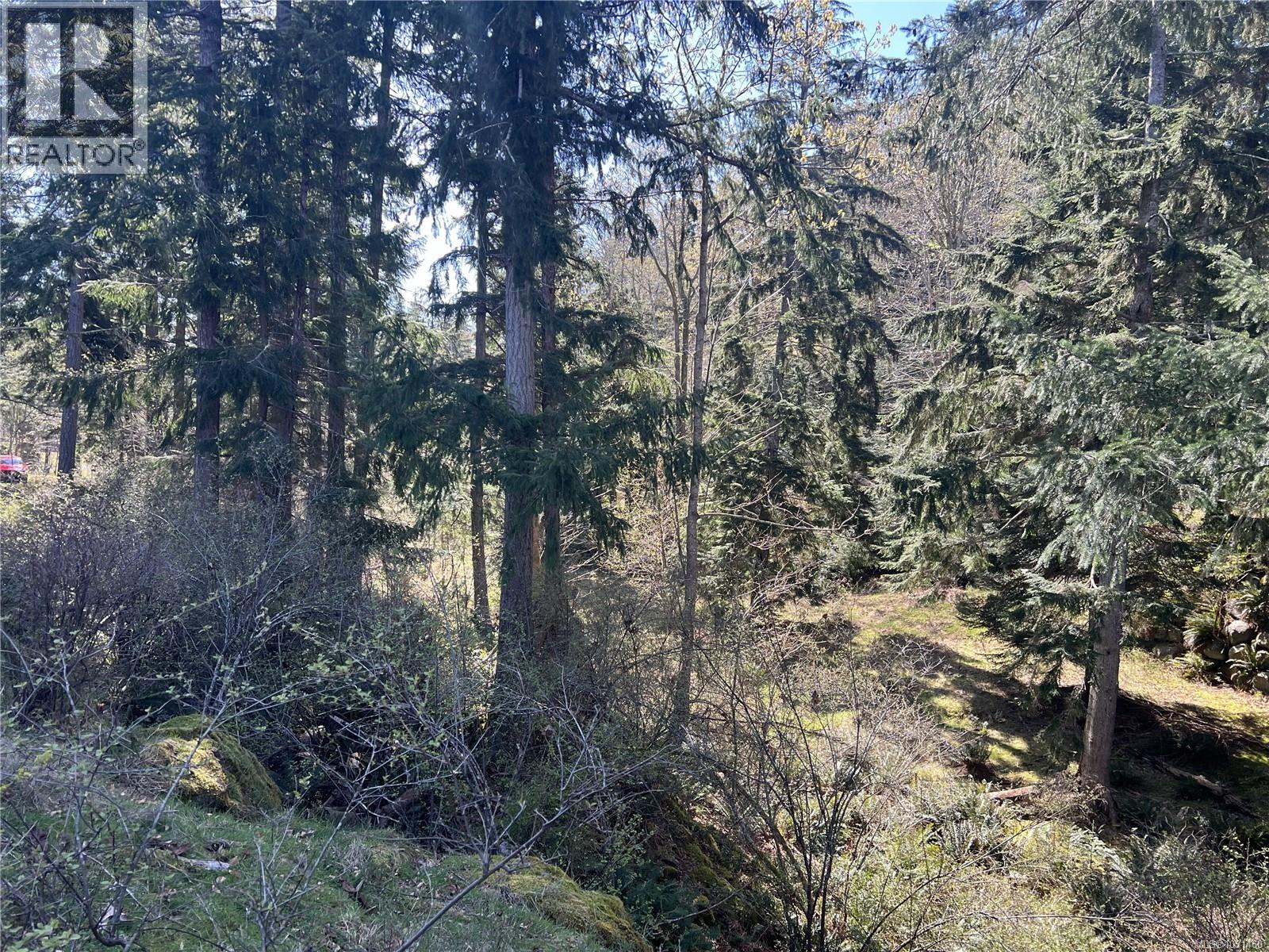 619 Green Rd, Quadra Island