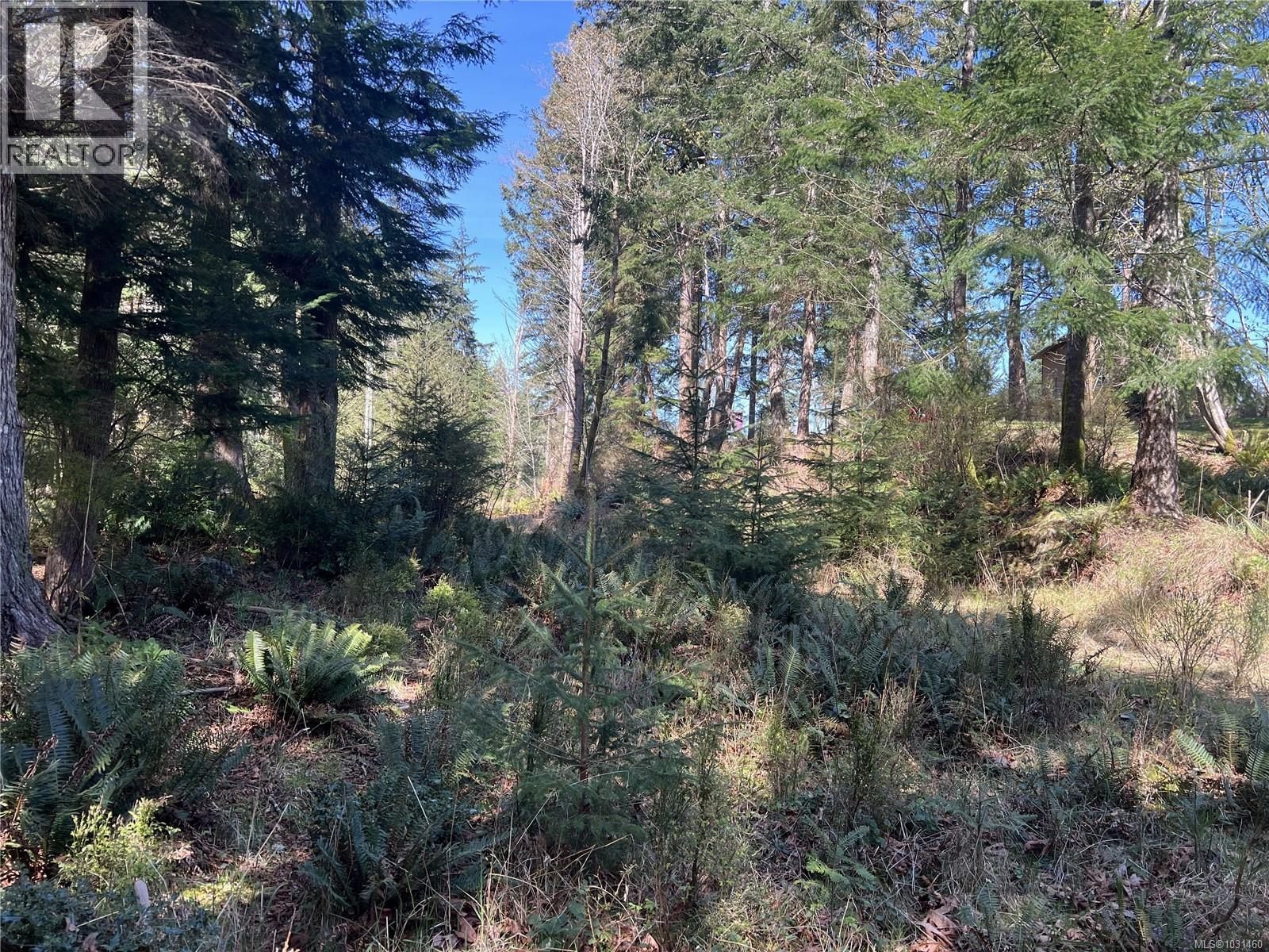 619 Green Rd, Quadra Island
