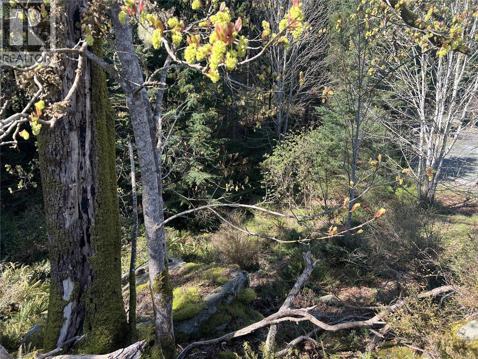 619 Green Rd, Quadra Island