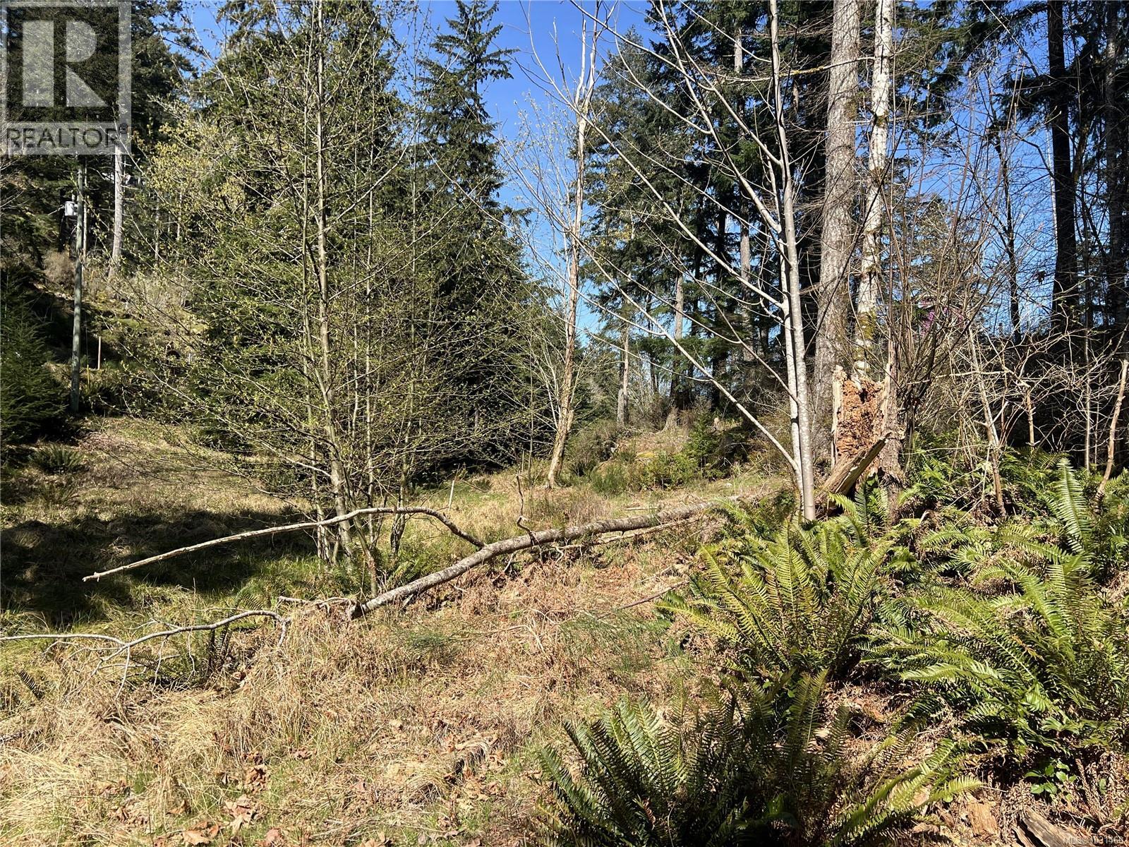 619 Green Rd, Quadra Island