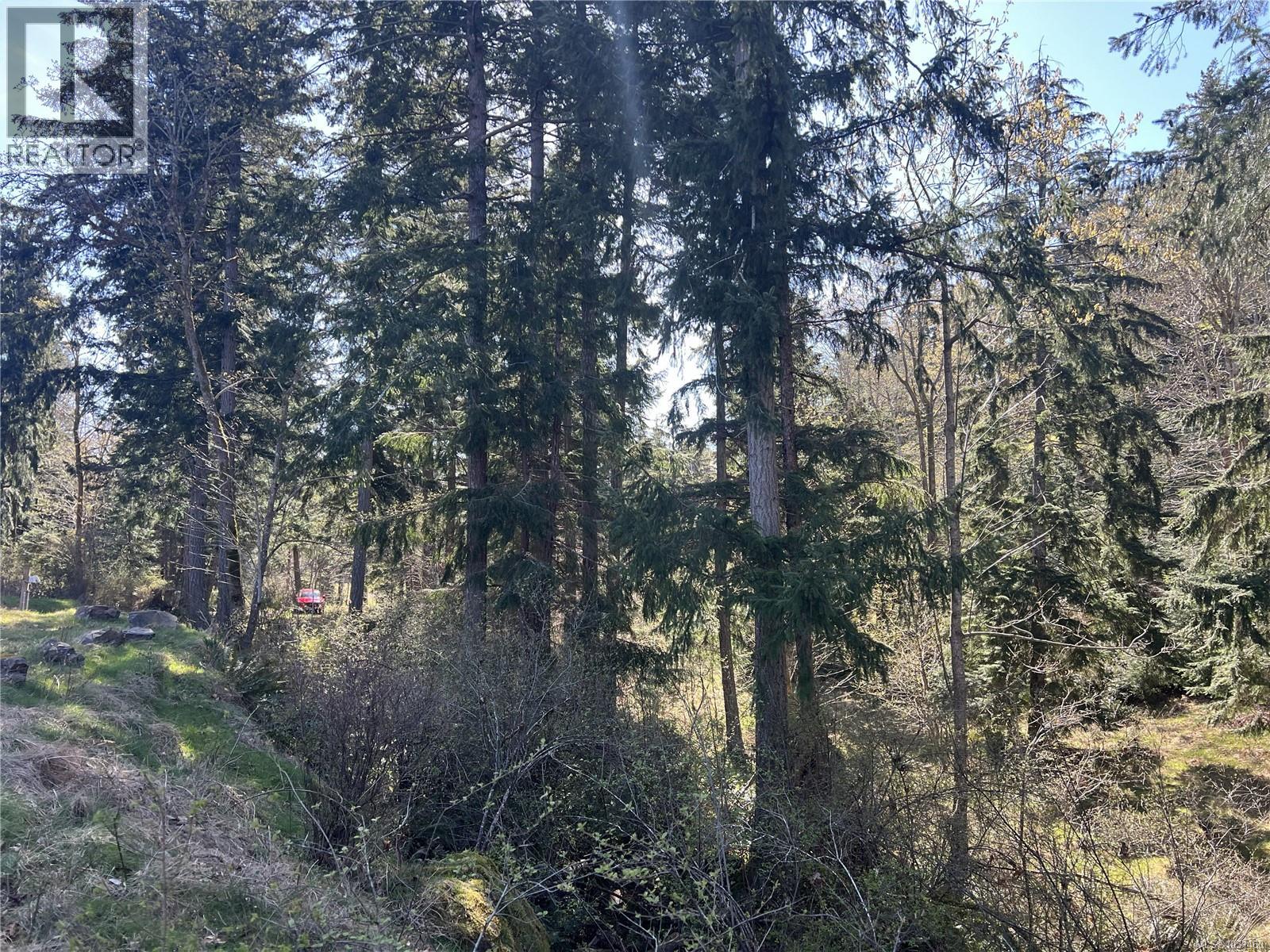 619 Green Rd, Quadra Island