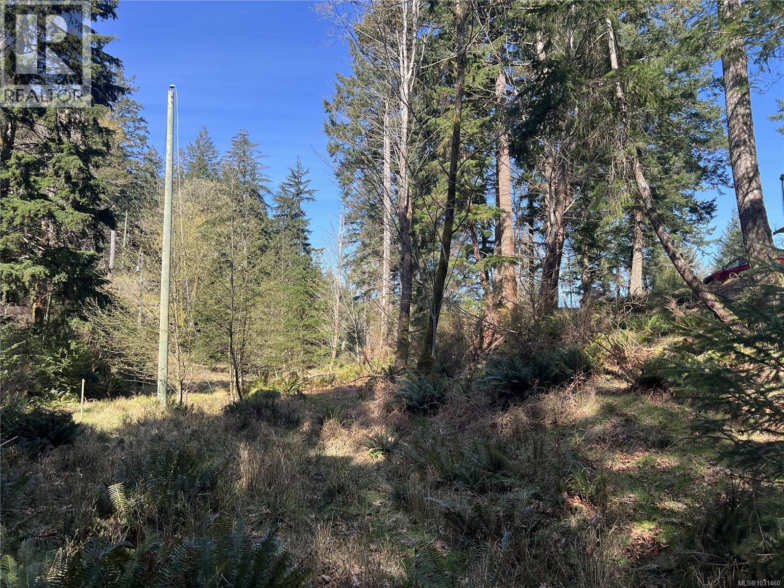 619 Green Rd, Quadra Island