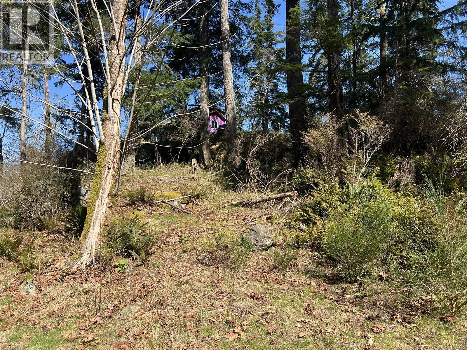 619 Green Rd, Quadra Island