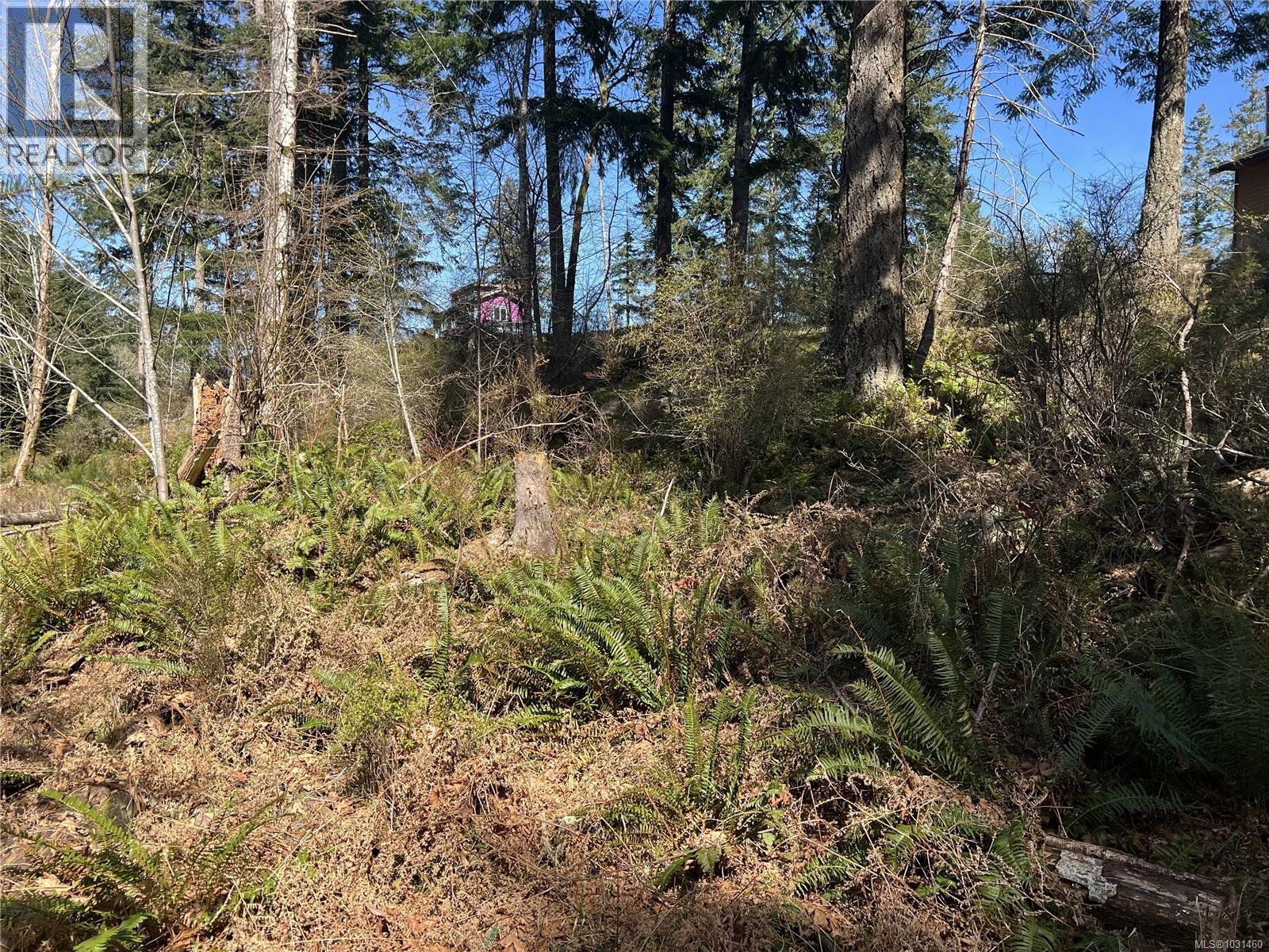 619 Green Rd, Quadra Island