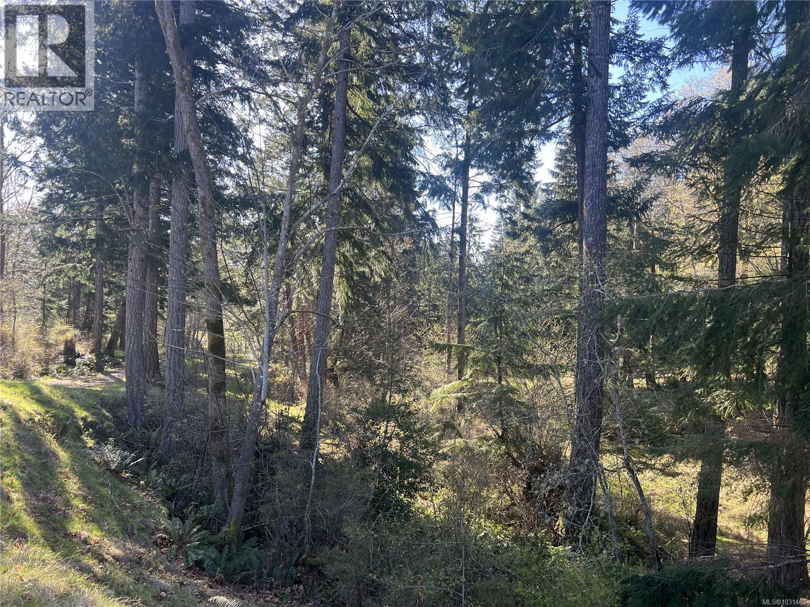 619 Green Rd, Quadra Island