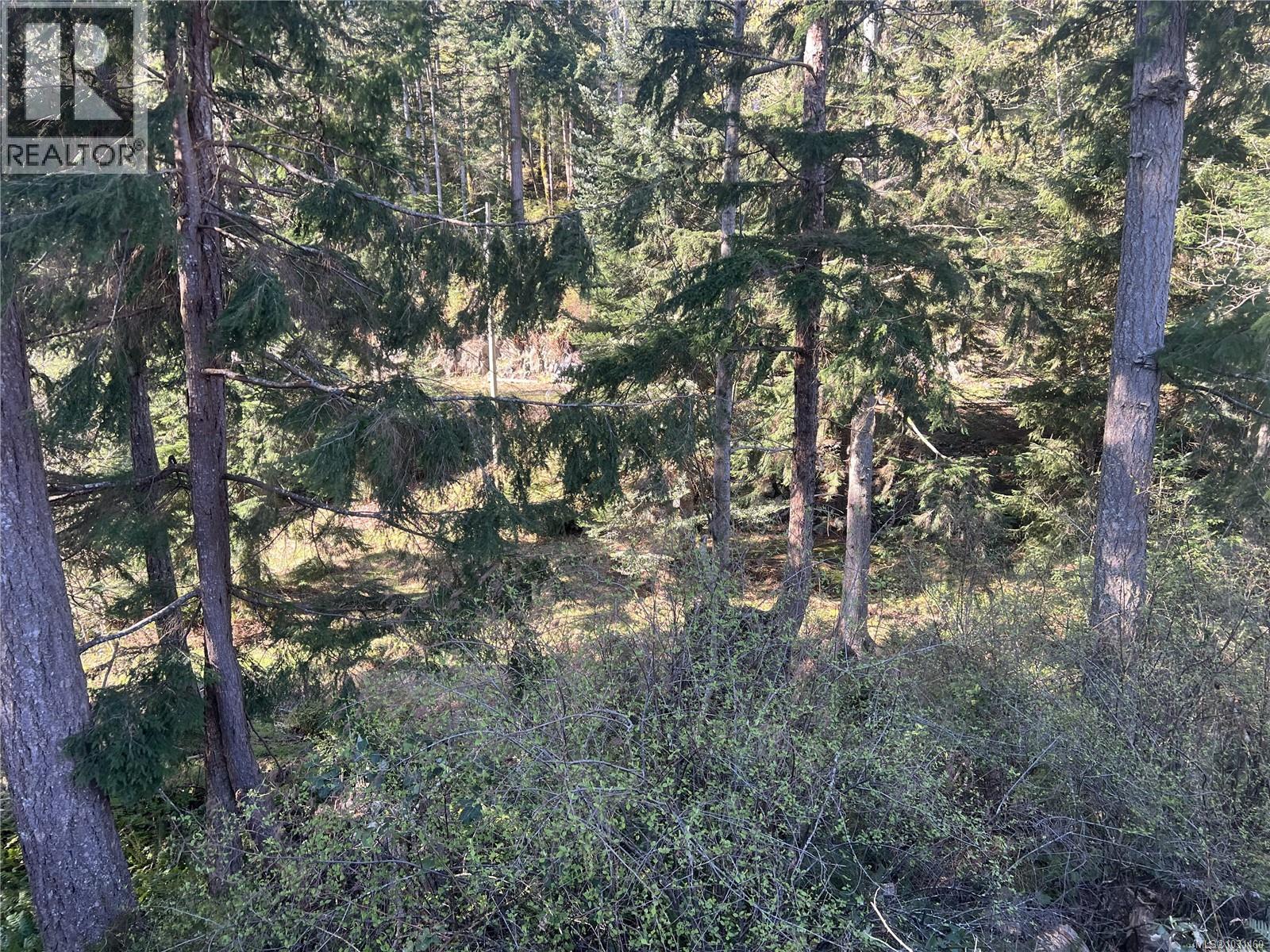 619 Green Rd, Quadra Island