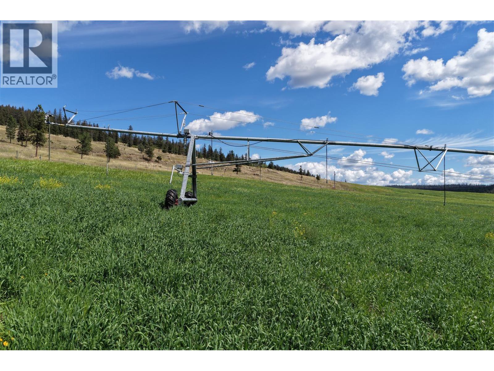 3850 Loon Lake Road - 10