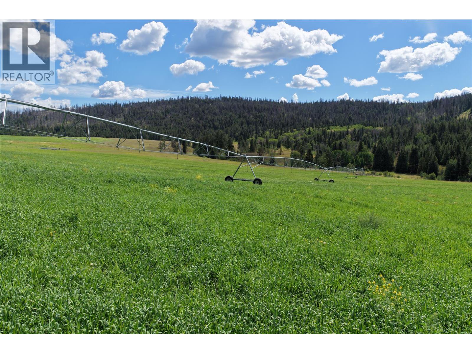 3850 Loon Lake Road - 11