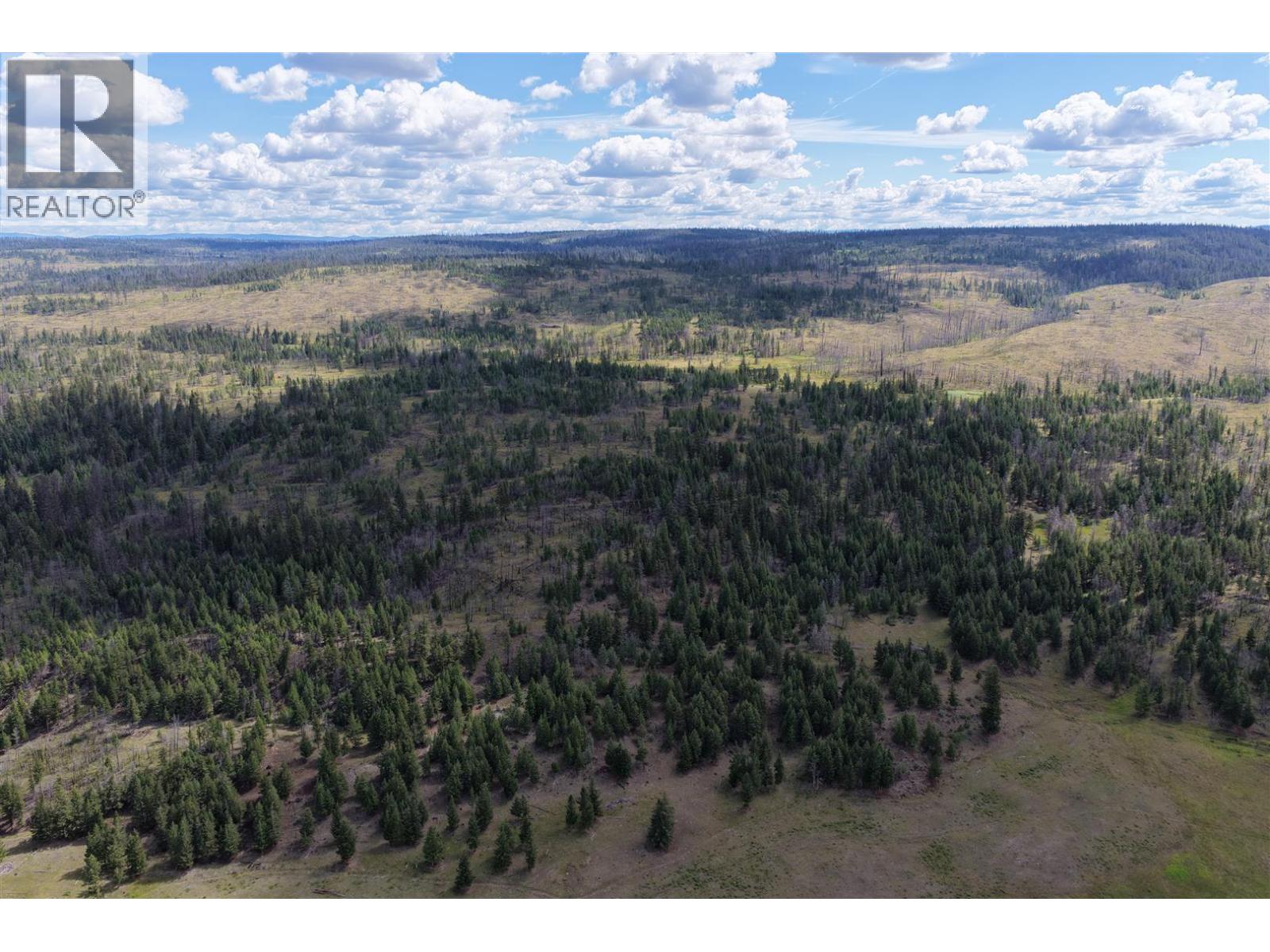 3850 Loon Lake Road - 20