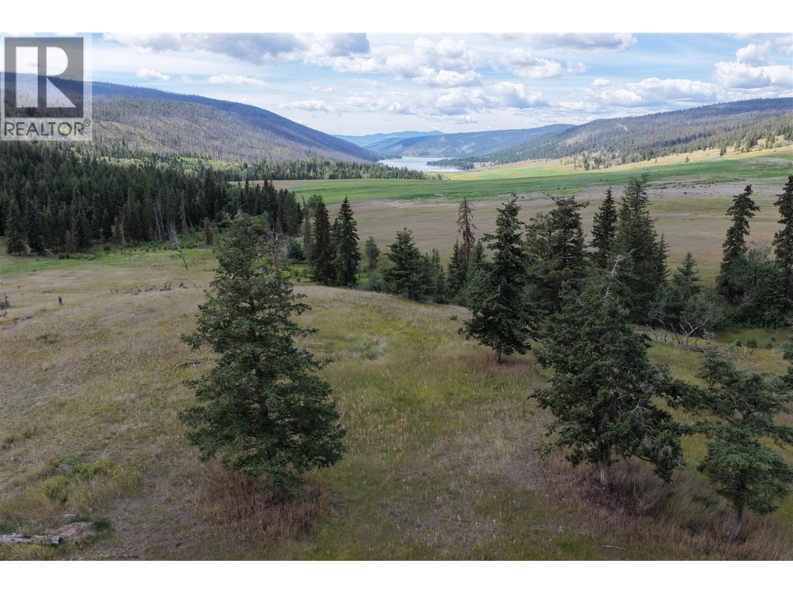 3850 Loon Lake Road - 23